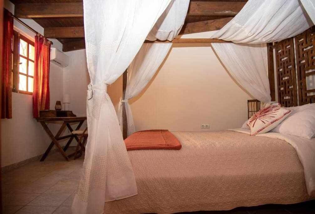 Aurora Mari Villa Your Dream Steps From The Ocean Shore Калета де Фусте Екстериор снимка